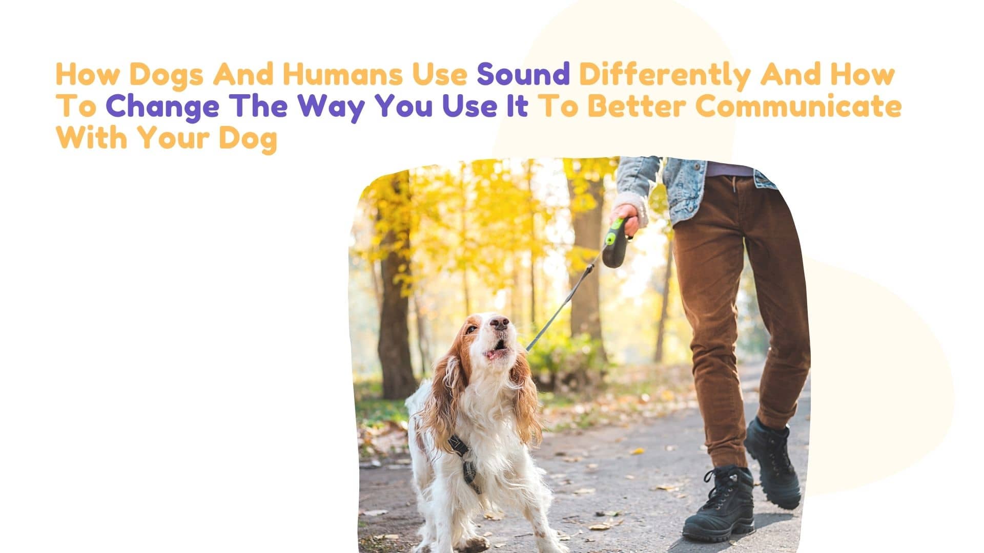 How Dogs And Humans Use Sound Differently And How To Change The Way You